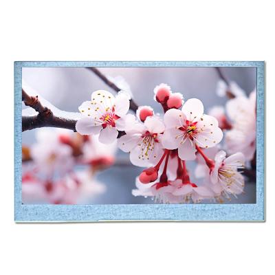China 4.3 Inch TFT In Plane Switching LCD Display With RGB Interface for sale