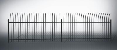 China Safety Ornamental Aluminum Fence for sale