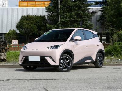 China Seagull 2023 BYD SUV Electric Flying Version 5 Door 4 Seater Fully Electric SUV for sale