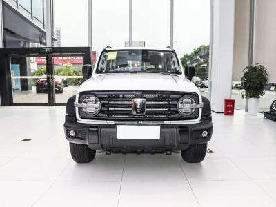 Chine Tank 300 2024 2.0T Tank SUV voiture Conqueror voiture à carburant blanc à vendre