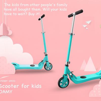 China Adjustable Handlebar Height 5 Inch 120W Tire Dual Tire 120W Motor Driven Electric Motor Scooter Folding E Scooter Waterproof High Speed Adult Scooter for sale