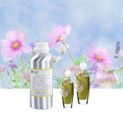 China Men Perfume Fragrance Oil Designer Perfume Oils Fragrance Long Lasting for sale