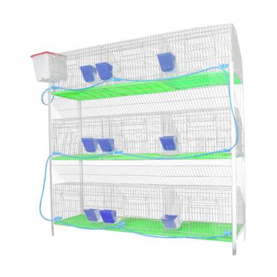 China 2022 Farms New Style Farming Breeding Equipment Rabbit Cage for sale