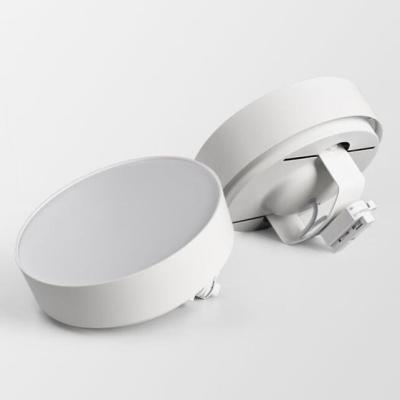 China Modern 2 Wires 1 Phase Commercial Magnetic Aluminum Track Lighting 110V 220V 24W Rail LED Track Light for sale