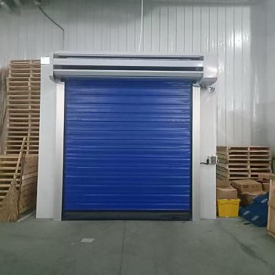 中国 ロジスティック最適化 冷蔵庫 高速冷却機 ドア 防水 販売のため
