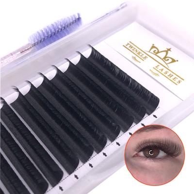 China Wholesale Natural Mega Volume False Eyelashes Easy Long Fan Lash 0.05 0.07 One Second Eyelash Extensions for sale