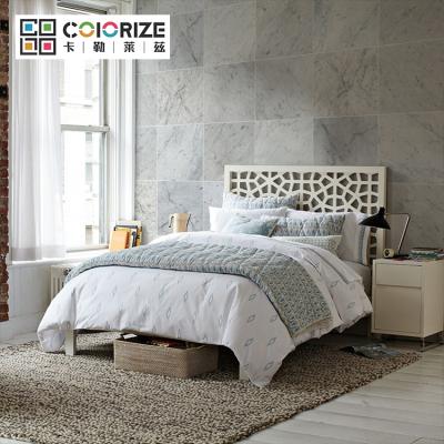 China Colorize modern marble slabs 10mm 24x24 610x610mm for bathroom cheap italian bianco carrara marble tile for sale