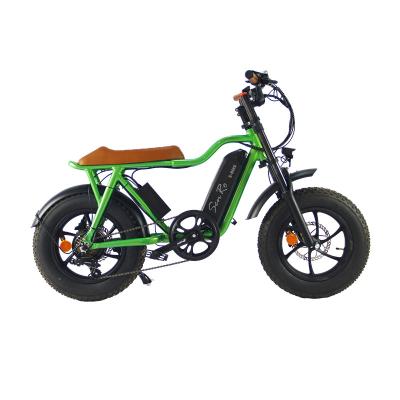 China Aluminum Alloy Mode City 7 Speed Conversion Mountainbike E Bike Top Cycle For Snow for sale