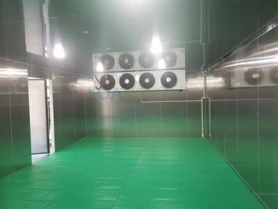 China 100 Square Meter Cold Storage Room -18°C Stainless Steel Frozen Meat Freezer Room for sale