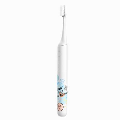 China Customized Logo Oral Care Toothbrush USB Rechargeable Powered Sonic Electric Toothbrush for sale
