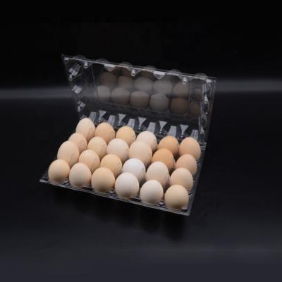 China 24 Cell PVC Egg Tray Stylish Plastic Packaging for sale