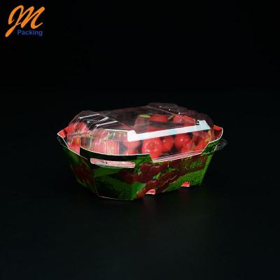 China Recycled Materials 125g Food Grade Fruit Tray Custom Paper Food Tray With Plastic Lid for sale