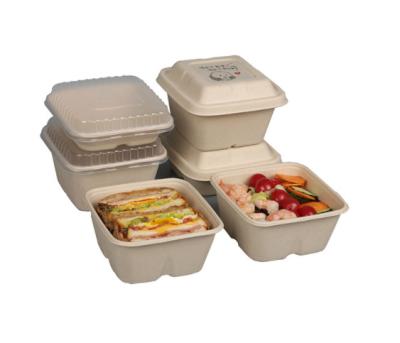 China Customized Disposable Biodegradable Bagasse Takeout Tray, Sugar Cane Lunch Box With Lid for sale