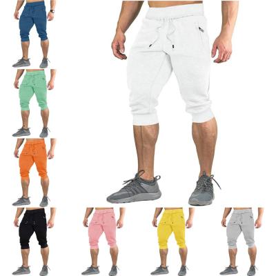 China Anti-wrinkle Shapershark Factory Wholesale plain blank Outdoor Sweatpants Cotton Hiking Sport Pants Men's Lightweight Running Pants Casual for sale