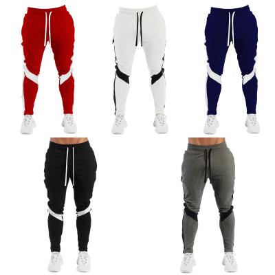 China Anti-wrinkle Shapershark Factory Men Slim Fit Gym Sports Bottoms Gym Jogging Jogger Sweatpants Straight Leg Gym Athletic Jogger Pants for sale
