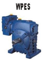 China WPES for sale