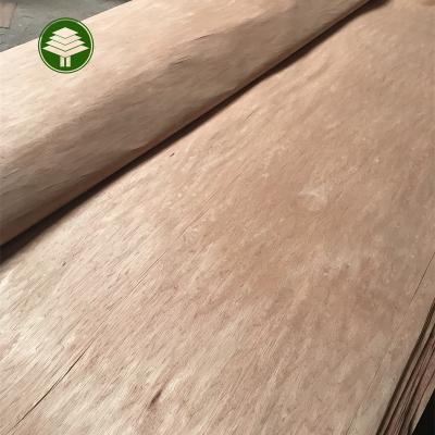 China Industrial Beat Selling Bintangor veneer rotary cut wood face bintangor veneer for plywood for sale