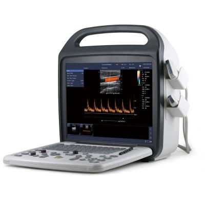 China Best Price Portable Veterinary Ultrasound Scanner 2D/Doppler For Small & Large Animals for sale