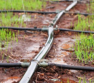 China Agriculture Drip Irrigation Round pipe 16mm drip line tube PE water drip irrigation pipe drip line for agriculture farm and garden Irrigation system for sale
