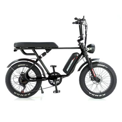 China Full Suspension Rear Hub Motor Electric Bike With 48v 1000w Power And REMOVABLE BATTERY for sale