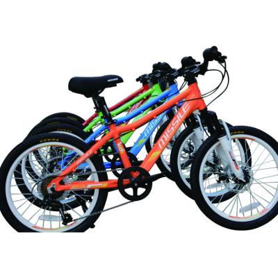 China Steel Frame Child Bike Tricycle For Kids Mountain Exploration And Adventure for sale