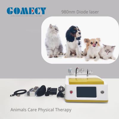 China 980nm Diodenlasergerät für Tierpflege und Veterinärphysikalische Therapie zu verkaufen