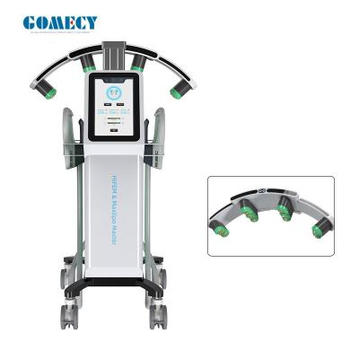 China Gomecy 2025 moeiteloos vetverlies: pijnloos Maxlipo 10d Laser + EMS Fysiotherapie Machine Te koop