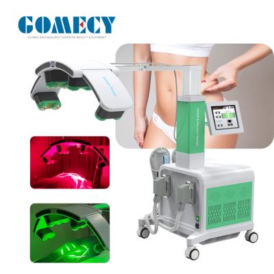 China GOMECY 10D 800W Diode Light Body Shaping & Muscle Stimulation Equipment Body Slimming Beauty Machine for sale