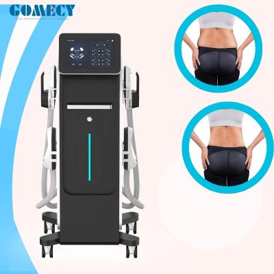 中国 痩せ脂肪 腰 セルライト 減量 機械 OEM ODM EMS 筋肉刺激器 販売のため