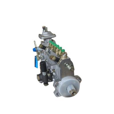 China High Quality DEUTZ Machinery Repair Shops Inject Pump 04178047 FOR F3L1011F for sale
