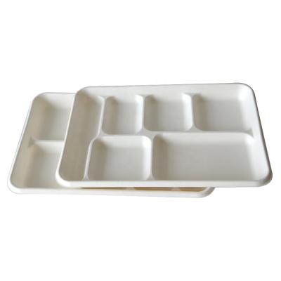 China Disposable Sugarcane Bagasse 6 Compartment Biodegraded Disposable Tray, China Wholesales Food Safe Serving Tray for sale