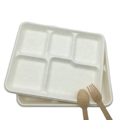 China 5 Compartment Disposable Biodegradable Rectangle Recycled Sugar Cane Bagasse Dish for sale