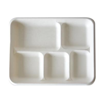 China Biodegradable Sugarcane Bagasse Pulp 5 Compartment Fast Food Biodegradable Lunch Tray for sale