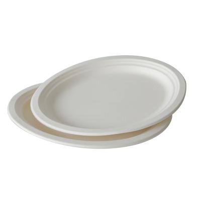 China Disposable Disposable Tableware Dish Bagasse Paper Oval Dish for sale