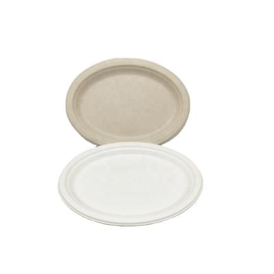 China 100% Pure Bagasse Disposable Eco-Friendly Disposable Tableware Disposable Biodegradable Freezer Dishes and Cutlery for sale