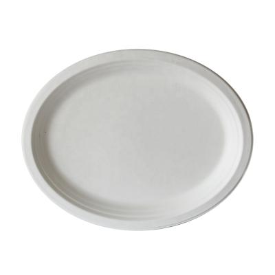 China Wholesale Disposable 100% Compostable Biodegradable Bagasse Pulp Oval Sugar Cane Dish for sale