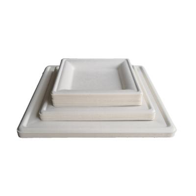 China Fiber Factory Cheap Disposable Compostable Square Dishes for sale