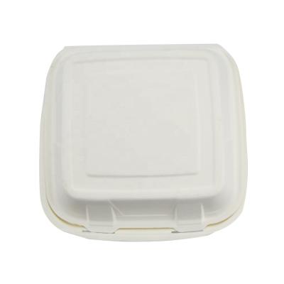 China Bagasse 9x9 Inch Disposable Sugar Cane Paper Box Biodegradable Biodegradable Food Packaging Box for sale