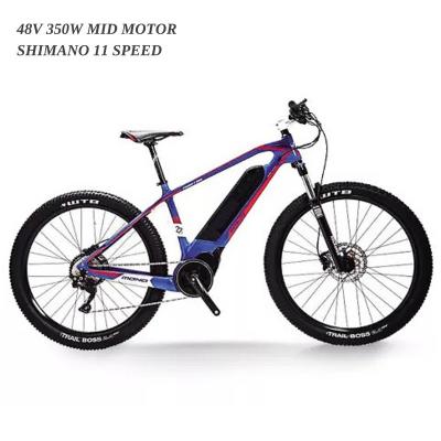 China Bafang 48V 350W Lithium Battery 11 Speed Fat Tire Fat Tire 27.5