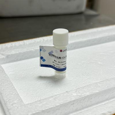 China Witte Glutamaatdehydrogenase Analyse/CAS GEEN 9029-12-3 Vlokkige hplc-esi-lidstaten Te koop