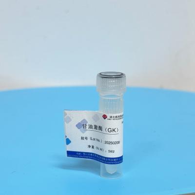 China The role of glycerol kinase in fat metabolism for sale
