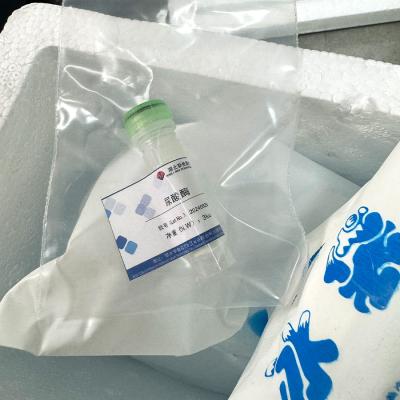 China Speciaal Uricase-Enzym, CAS no.9002-12-4 Systemische Enzymensupplementen Te koop
