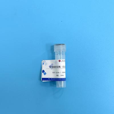China Cholesterolesterase Enzympreparaat Kosmetische Rang CAS nr 9026-00-0 Te koop