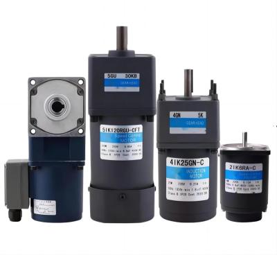 China 2RK 3RK 6RK 25W 40W 90W 120W 180W 220V AC Induction Totally Enclosed Micro AC Induction Speed Control Motor for sale