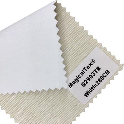 China Largura personalizada 2m/2.3m/2.5m/3m G2900TB Branco Cor Negro Roller Shade Blind Tecido Para Casa à venda