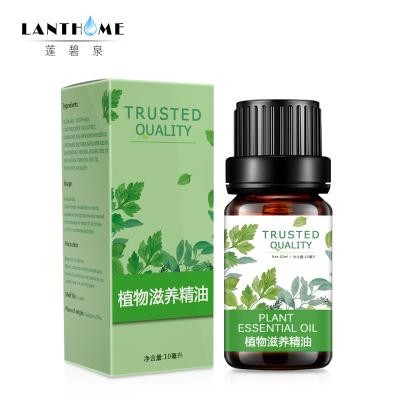 Chine Massage corporel raffermissant blanchissant à l'huile essentielle de plante de maca incolore à vendre