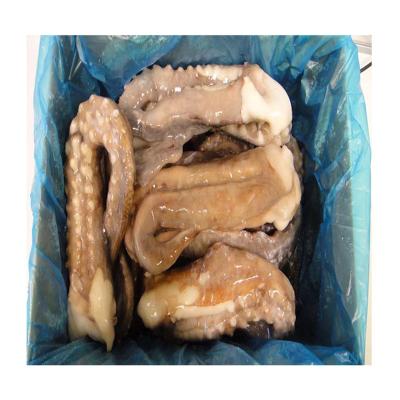 China Good Nutritious Tasty Freezing Process Bqf Giant Squid Frozen Tentacle, Seafood Processing For Frozen Squid Tentacle for sale