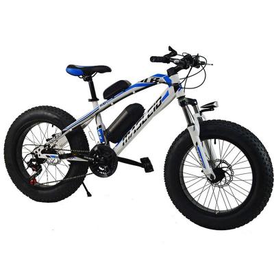 China 2020 New Fashion Standard Lightweight Lithium Battery Mountain Electric Bicycle for sale