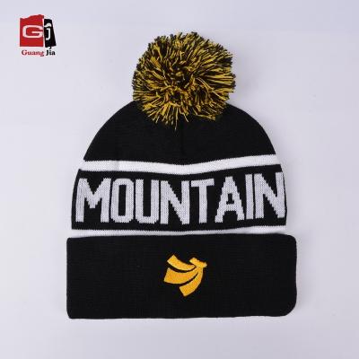 China High Quality Wholesale COMMON Knitted For You Custom Design Own Logo Embroidered Pom Pom Beanie Hat Men for sale