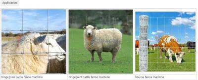 China Neue Maschine für Festknoten-Grasfeldzäune Vollautomatik Hochwertige niedrige Preise Maschine zur Maschenherstellung von Rasenzaunen/Rinderfeldern zu verkaufen
